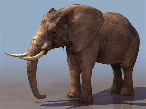 elefante 3d - impressora 3d resina